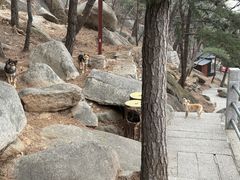 -崂山仰口游览区