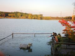 -昆山城市生态森林公园