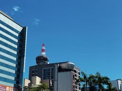 -上海老天禄