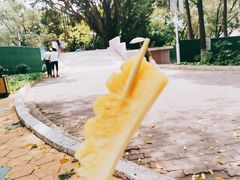 -金砂公园