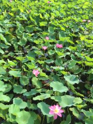 -大望京儿童游乐场