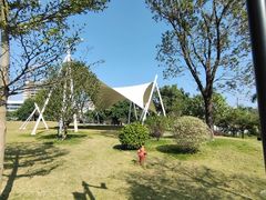 -风云岭森林公园