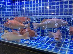 -徐记海鲜(大明宫|北二环店)