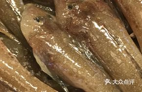 Shallow Sea Fish from Chaozhou