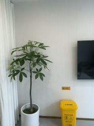 -上海伊莱美医疗美容医院