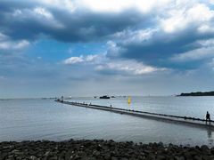 -上海吴淞炮台湾国家湿地公园
