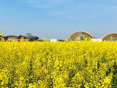 -中国天府农业博览园