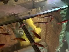 -糖房咖啡(南锣鼓巷店)