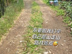 -莫干山风景区