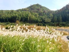 -文娟土菜馆(天柱山店)