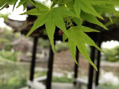 -杭州植物园