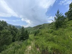 -灵山