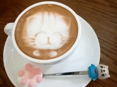 -猫色咖啡·猫咖