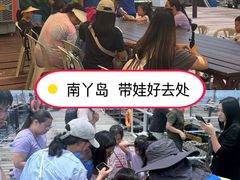 -南丫岛