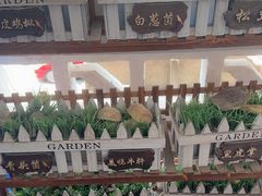 -菌极鲜野生菌火锅店(阳明祠店)