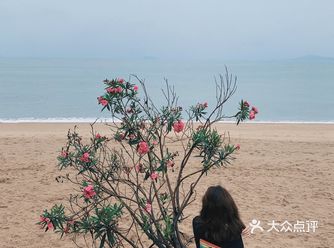 厦门｜宝 我今天去海边了 什么海 小众无人的海