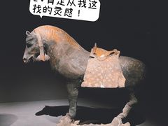 -大同市博物馆