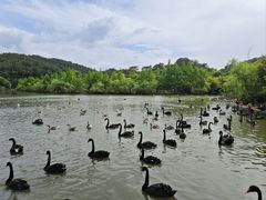 -宁波野生动物园