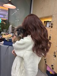 -韩国丽安形象设计
