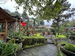 -青城甲(青城山店)