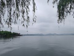 -蛙蛙叫干锅年代(簋街总店)