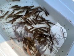 -蓝天路(地铁站)