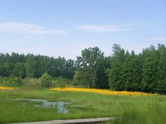 -溱湖国家湿地公园