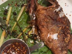 -Aqua Oasis 水天堂(常熟永旺店)