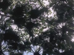 -晓港公园