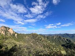-大岭沟猕猴桃谷风景区