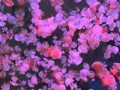 -杭州长乔极地海洋公园