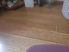 -沈师傅盲人按摩工作室(密三小区店)