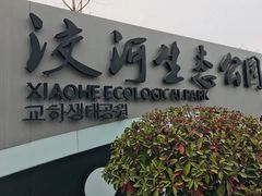 -洨河生态公园