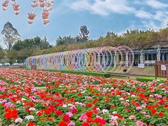 -盈香心动乐园
