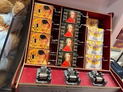 -维也纳国际机场