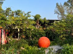 -一品烧农庄·佛山本地特色菜