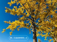 -永定河休闲森林公园