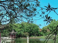 -青龙山国家森林公园