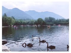 -西安秦岭野生动物园