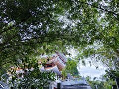 -水濂山森林公园