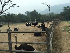 -西安秦岭野生动物园