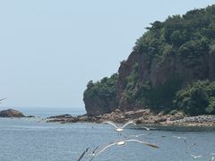 -棒棰岛宾馆景区
