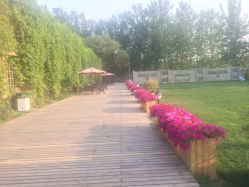 点击看大图 醉库餐厅·婚宴-醉库庄园·宴会厅·草坪婚礼场地