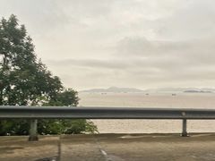 -胖大嫂渔家排档·全海景餐厅(渔村店)