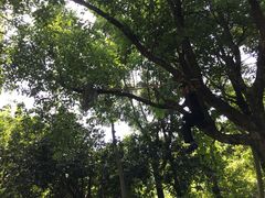 -燕晗山郊野公园
