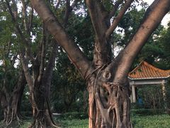 -人民公园(罗湖区)