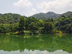-广州市白云山风景名胜区