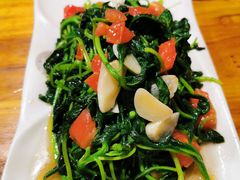 番茄炒小米菜-老滇山寨•云南特色菜•地方菜•民族风情歌舞表演(金碧店)