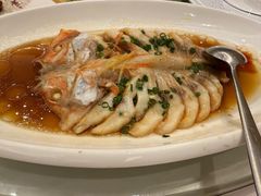 -骏莱海鲜鱼港(五角场店)