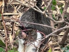 -晓港公园
